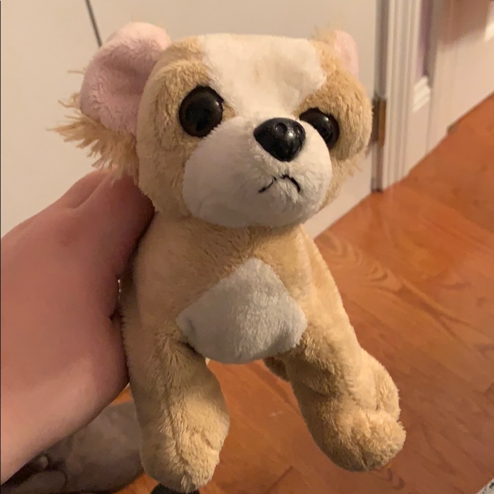 Webkinz Chihuahua